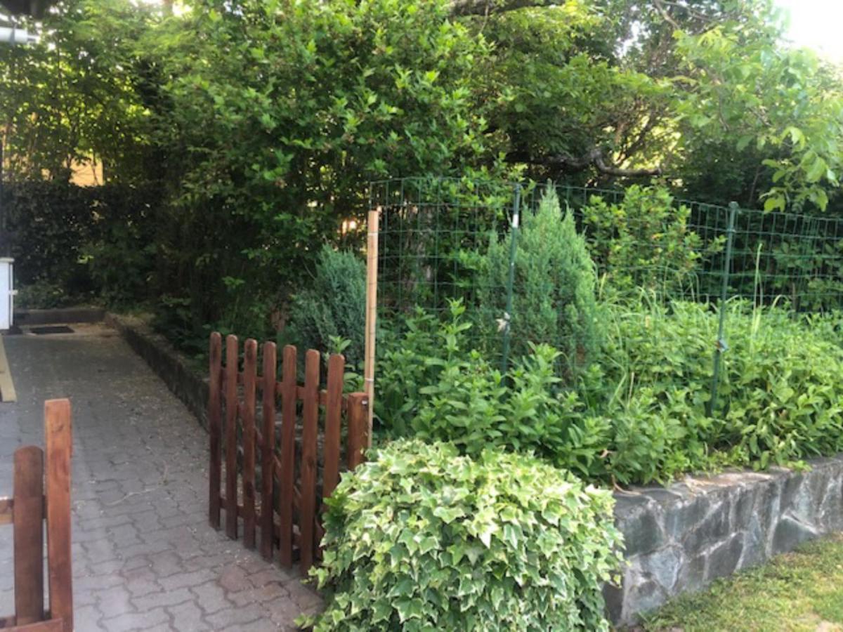 Villa Tulipán ház Szentendre Esterno foto