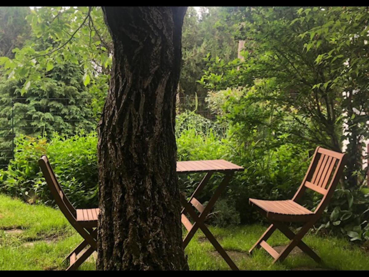 Villa Tulipán ház Szentendre Esterno foto