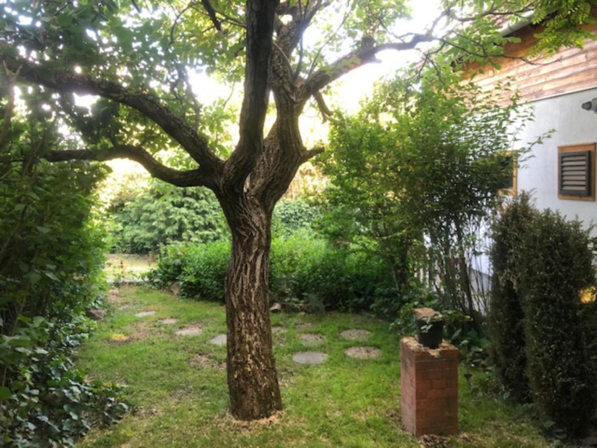 Villa Tulipán ház Szentendre Esterno foto