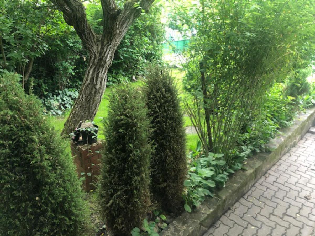 Villa Tulipán ház Szentendre Esterno foto