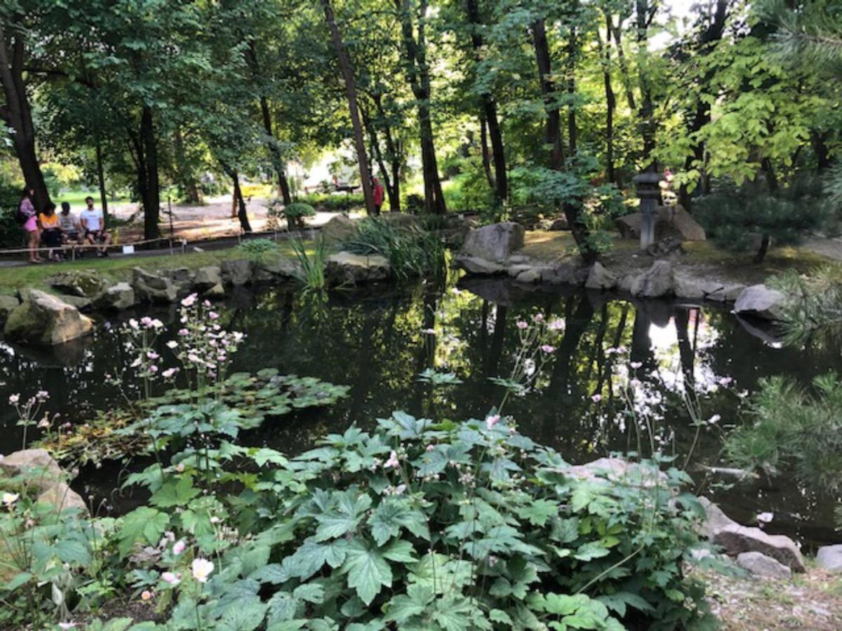 Villa Tulipán ház Szentendre Esterno foto