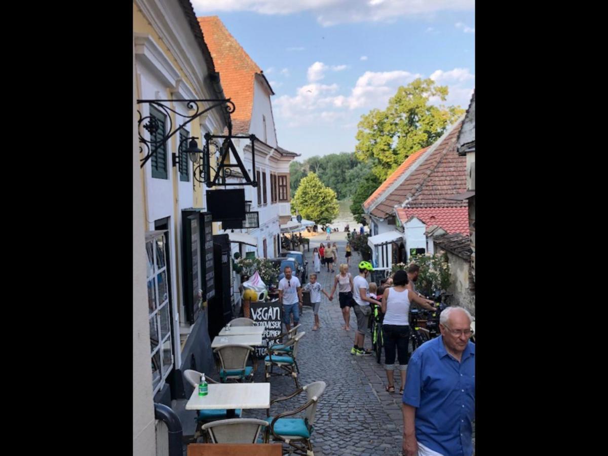 Villa Tulipán ház Szentendre Esterno foto